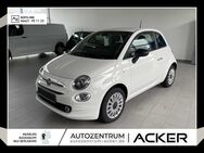 Fiat 500, 1.0 Mild Hybrid Komfort, Jahr 2024 - Bad Berleburg