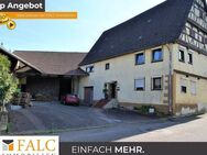Entfaltungs-Reich - FALC Immobilien Heilbronn - Möckmühl