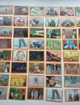 Panini Naruto The Spirit of the Ninja Sammler Set Konvolut 2002 - Fulda