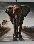 Leinwandbild in 14712