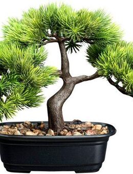 Kunstbonsai Bonsai Kiefer Bonsai Kiefer, Creativ green, Höhe 23 cm, mit Deko-Kies