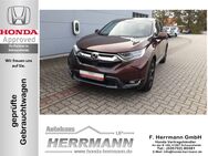 Honda CR-V, 1.5 T, Jahr 2019 - Schwarzheide