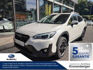 Subaru XV, 1.6 i Lineartronic EDITION Comfort, Jahr 2022 - Düsseldorf