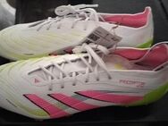 Adidas Predator Elite - Gladbeck
