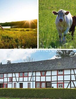 PHI AACHEN - Historisches Fachwerkhaus mit modernem Wohnkomfort! Drei renovierte Wohnungen in Konzen! - Monschau