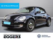 VW Beetle, 1.2 TSI Cabrio Cup, Jahr 2014 - Verden (Aller)