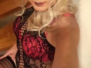 Willige Sissy sucht aktive Männer 😜 - Ludwigsburg