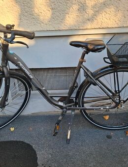 Damen Fahrrad Pegasus Lucca, 28“, 3 Gang - Köln