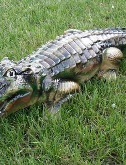 Dekofigur Krokodil klein 65 cm Gartendeko kostelose Lieferung Deutschlandweit - Hergisdorf