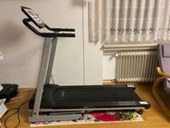 Laufband Stamm BodyFit mit Pulsmesser - Waldaschaff