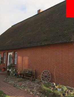 Romantische Reetdachkate mit Einliegerwohnung - Bargenstedt