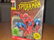 Komplettbox DVD Spider-Man Originalserie - Oberursel (Taunus) Weißkirchen