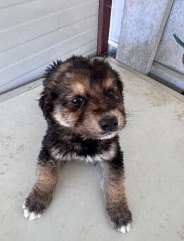 Baby Alessia - Pfinztal