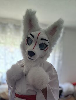 „Kuschelige Begleitung gesucht? Dein Kitsune-Furry zum Wohlfühlen 🦊✨“ - Potsdam