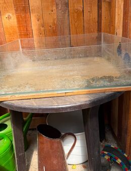 Terrarium zu verkaufen - Bad Münstereifel