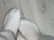 Gebrauchte Damensocken Getragene Socken - Vechta