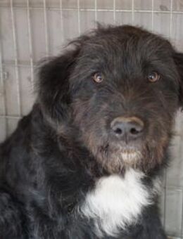 Sunshine bringt Sonne in dein Herz! - München