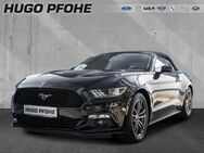 Ford Mustang, 2.3 Cabrio Eco Boost, Jahr 2017 - Hamburg