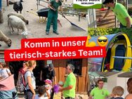 Minijob / Ferienjob / Studentenjob im Erlebnistierpark Memleben - Kaiserpfalz