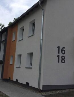 Schöne, renovierte 3-Zimmer-Wohnung mit Balkon! - Essen