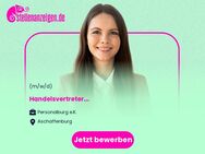 Handelsvertreter (m/w/d) - Aschaffenburg