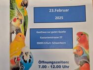 Vogelbörse in Erfurt OT Schwerborn am 23.02. Und 30.03. - Erfurt