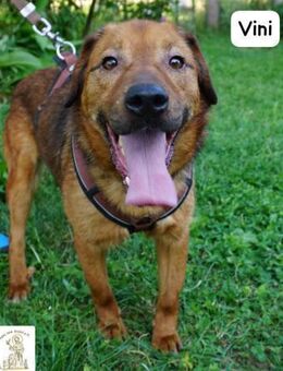 Vini Mission Freiheit! - Kissing