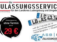 KFZ Zulassungsdienst / KFZ Zulassungsservice für Ludwigsburg - Ludwigsburg