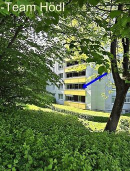 Große Wohnung mit Blick ins Grüne sucht neuen Eigentümer!! - Reutlingen