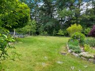 Großer Garten sucht kleinen Mausefänger! - Kiel Neumühlen-Dietrichsdorf
