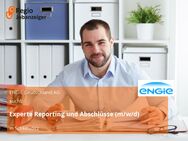 Experte Reporting und Abschlüsse (m/w/d) - Schkeuditz