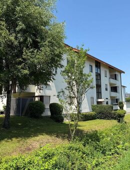 sehr schöne 3 1/2 Zimmer ETW - Rheinfelden - Rheinfelden (Baden)