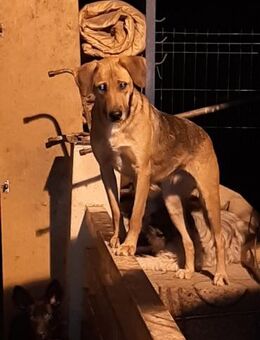 Tiana - Mönchengladbach