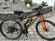 E Bike Bergsteiger - Wald (Regierungsbezirk Oberpfalz)