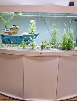 Verkauf unseres 450 l Aquariums mit Unterschrank (Juwel Vision 450) - Gerdau