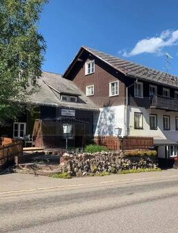Schwarzwälder Original mit Vision gesucht - Sanierungsobjekt oder Neubauchance - touristisches Grundstück in Feldberg-Bärental! - Feldberg (Schwarzwald)