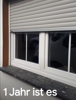 Hausmeisterservice, Möbelreparaturen, Kleinumzüge - Werl