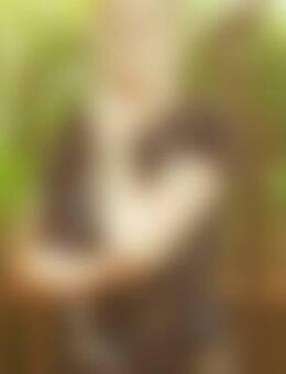 Mal*** - Peißenberg