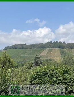 Schöne Aussicht für Immobiliensuchende! - Wittlich