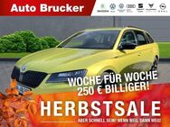 Skoda Superb Combi 4x4 2.0 TDI Sportline Xenon AHK Navi - Marktredwitz