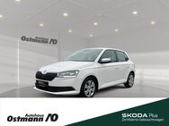 Skoda Fabia, Cool Plus 70kw, Jahr 2021 - Niestetal