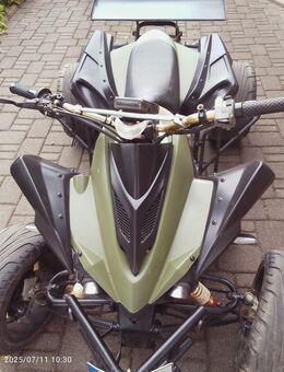 Jingling Quad 250ccm - Rees