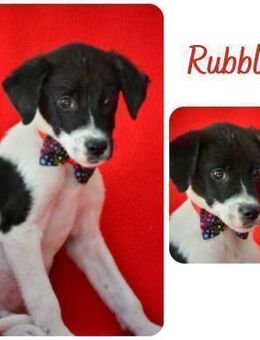 Rubble - Wendelstein