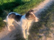Treue eve - Wassenberg
