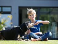 Elegantes Familienhaus mit viel Platz für die Familie - Bad Windsheim