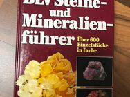 BLV Steine & Mineralienführer - Zwickau