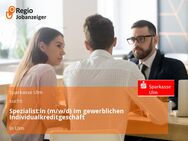 Spezialist:in (m/w/d) im gewerblichen Individualkreditgeschäft - Ulm