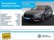 Skoda Octavia, 2.0 TDI Combi, Jahr 2024 - Krefeld