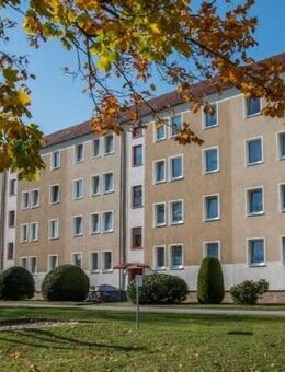 Gemütliche 3-Raum-Wohnung mit Balkon in ruhiger Wohnlage - Oschatz