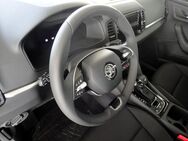 Skoda Karoq, Selection, Jahr 2024 - Luckau